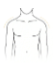 Narrower shoulders