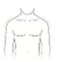 Broader shoulders
